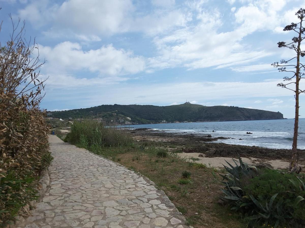 AbatemarcoMansarda Fiorita住宿加早餐旅馆 外观 照片
