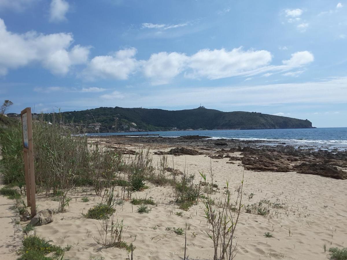 AbatemarcoMansarda Fiorita住宿加早餐旅馆 外观 照片