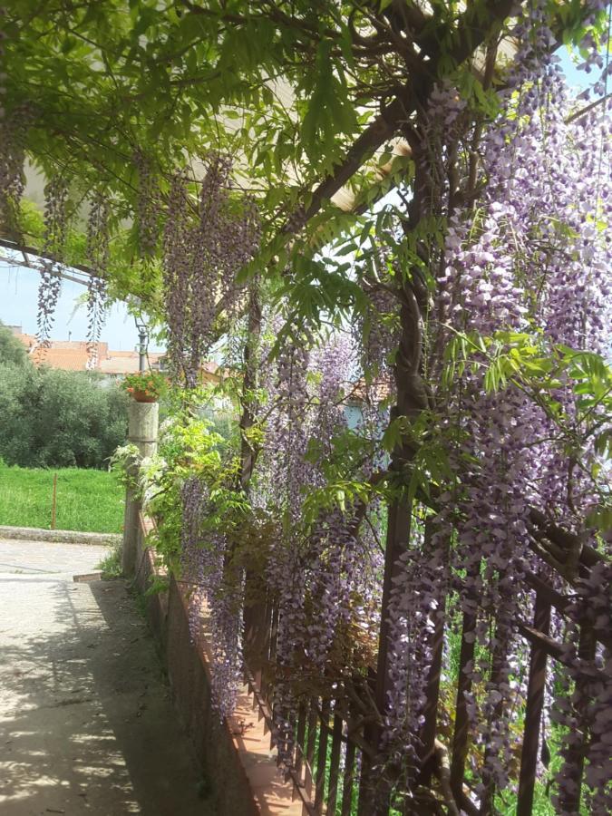 AbatemarcoMansarda Fiorita住宿加早餐旅馆 外观 照片