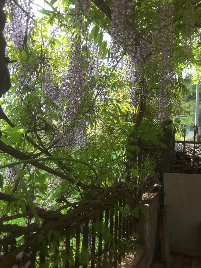 AbatemarcoMansarda Fiorita住宿加早餐旅馆 外观 照片