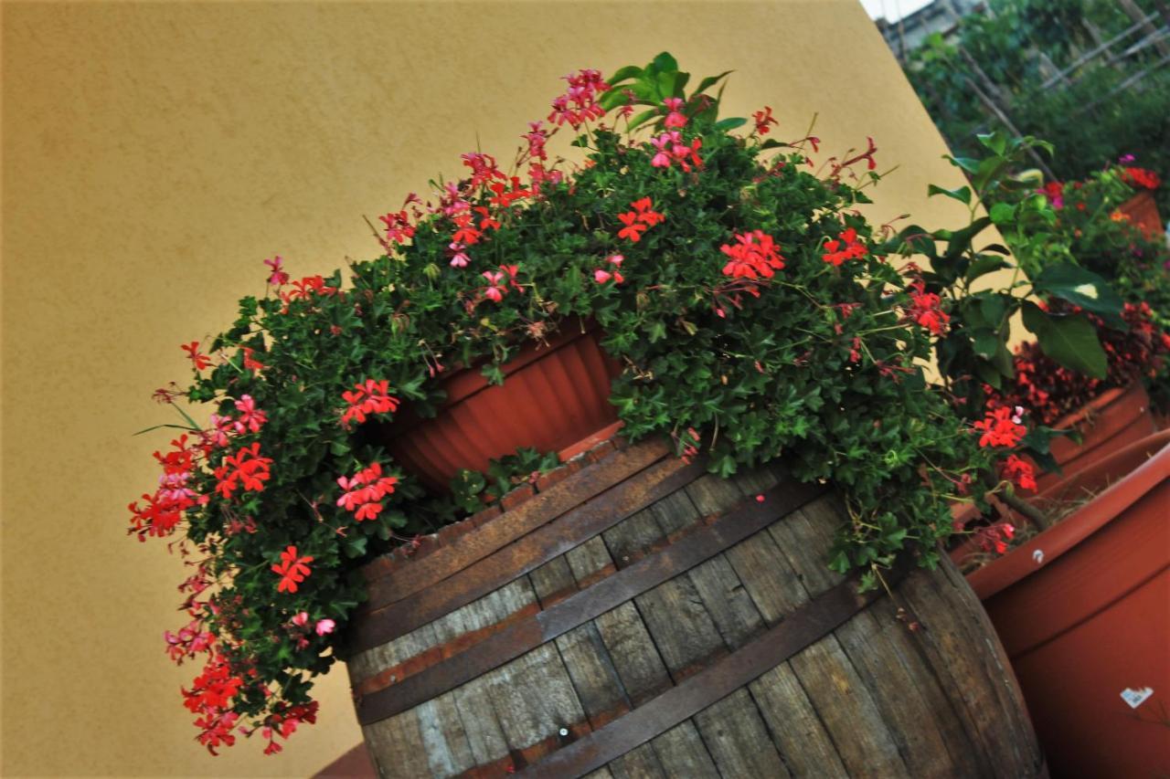 AbatemarcoMansarda Fiorita住宿加早餐旅馆 外观 照片